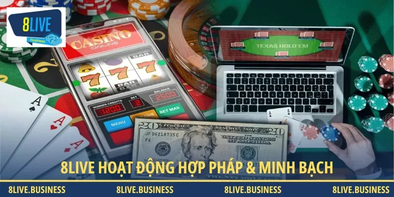 8LIVE là nền tảng hoạt động hợp pháp và minh bạch