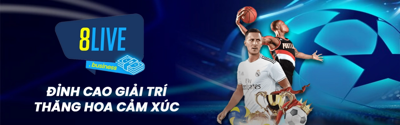 banner website