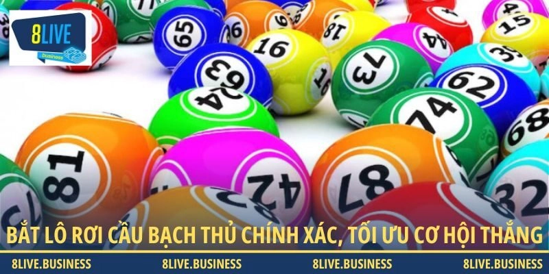 Tìm hiểu về cách bắt lô rơi cầu bạch thủ