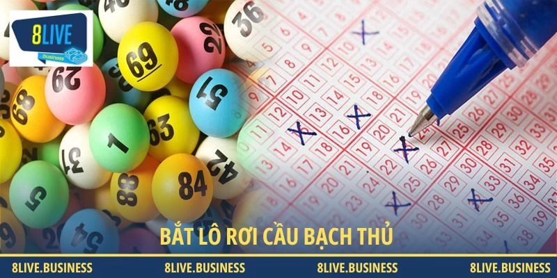 Bắt lô rơi cầu bạch thủ - Xu hướng cá cược năm 2025