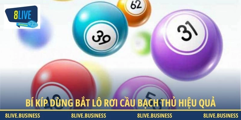 Bí kíp dùng bắt lô rơi cầu bạch thủ hiệu quả