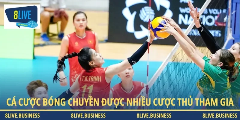 Cá cược bóng chuyền là bộ môn hấp dẫn luôn được nhiều bet thủ tham gia