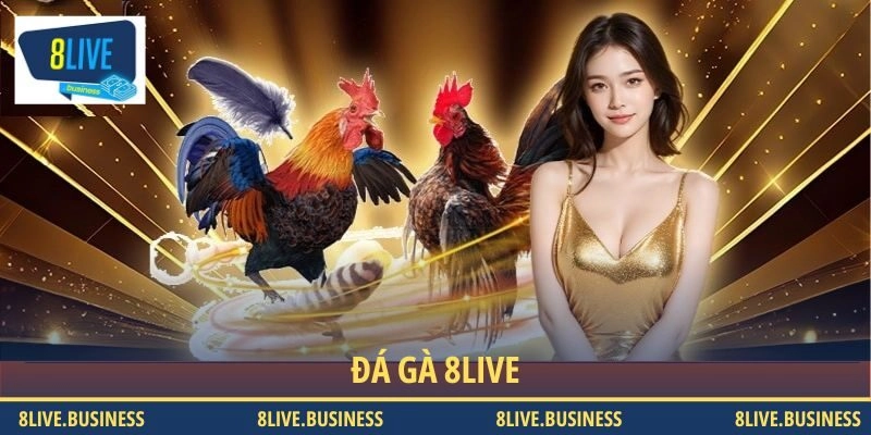 Giới thiệu điểm cược đá gà 8LIVE