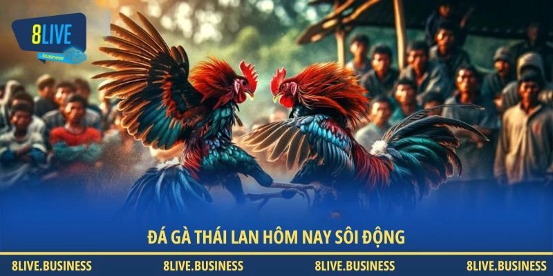 Đá gà Thái Lan hôm nay sôi động