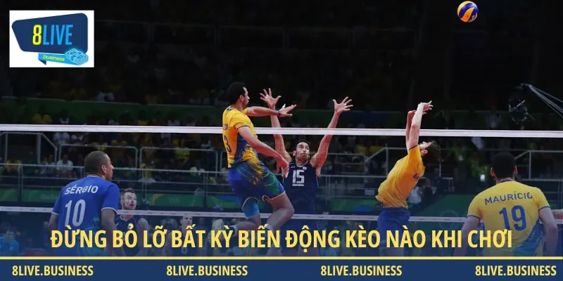 Đừng bỏ lỡ bất kỳ biến động nào của kèo để ra quyết định đặt cược chính xác