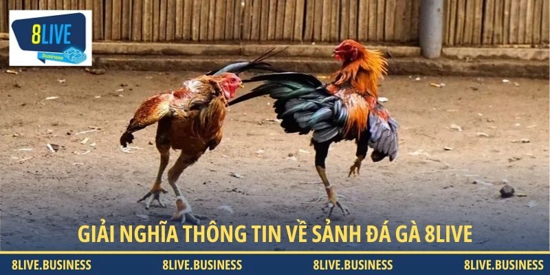 Giải nghĩa thông tin về sảnh