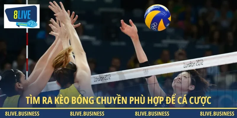 Hãy tìm ra các kèo bóng chuyền phù hợp nhất để chơi