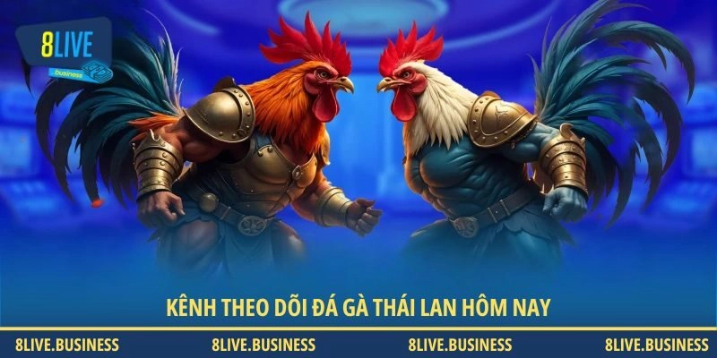 Kênh theo dõi đá gà Thái Lan hôm nay