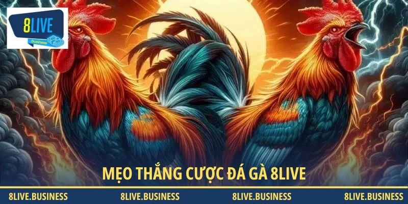 Mẹo thắng cược đá gà 8LIVE