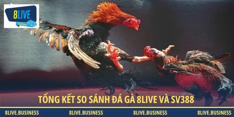 Tổng kết so sánh đá gà 8LIVE và SV388