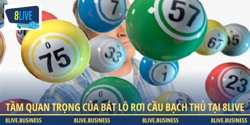 Tầm quan trọng của bắt lô rơi cầu bạch thủ tại 8LIVE