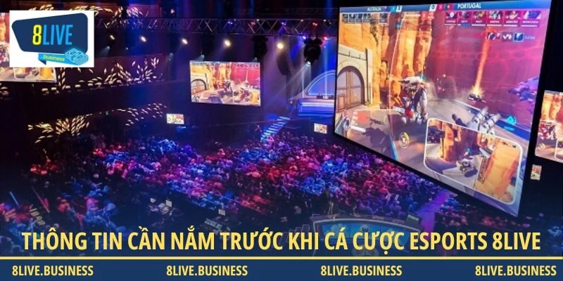 Thông tin cần nắm trước khi cá cược Esports 8LIVE