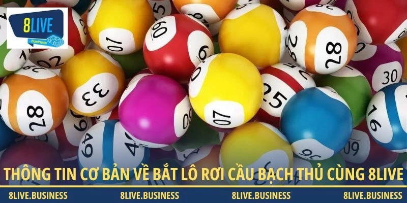 Thông tin cơ bản về bắt lô rơi cầu bạch thủ cùng 8LIVE