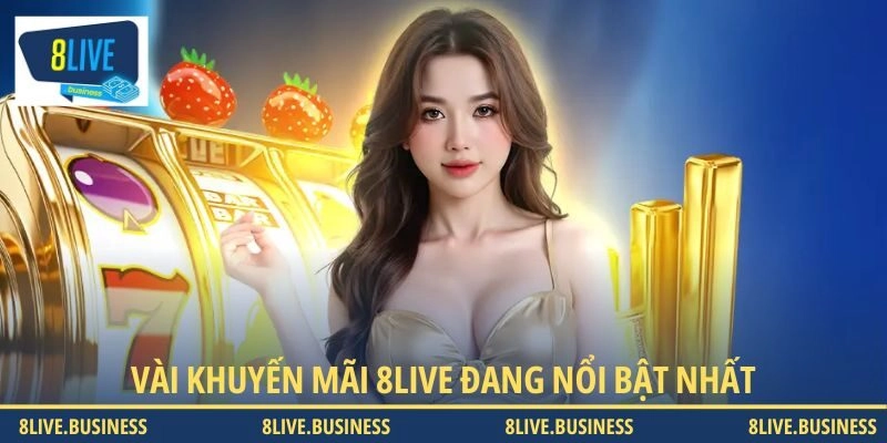 Vài khuyến mãi 8LIVE đang nổi bật nhất
